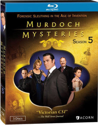 Murdoch Mysteries: Season 05 (Blu-ray)