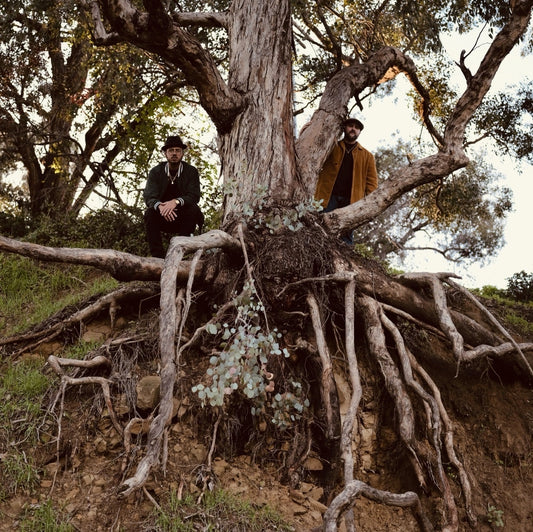 Blu & Exile - Miles (CD)