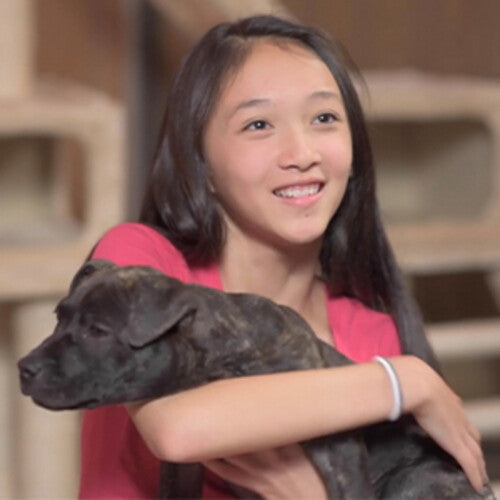 Puppy Love (aka Baby Bulldog) (DVD)