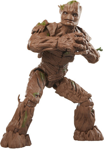 Hasbro Collectibles: Marvel Legends - Guardians of the Galaxy: Vol. 3 - Groot