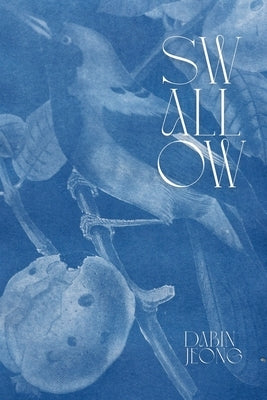 Swallow by Jeong, Dabin