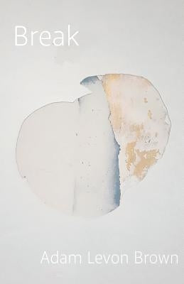 Break: poems on mental illness by Brown, Adam Levon