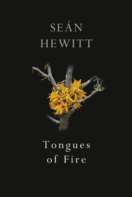 Tongues of Fire by Hewitt, Seán