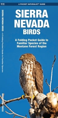 Sierra Nevada Birds: A Folding Pocket Guide to Familiar Species of the Montane Forest Region by Kavanagh, James