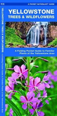 Yellowstone Trees & Wildflowers: A Folding Pocket Guide to Familiar Plants of the Yellowstone Area by Kavanagh, James
