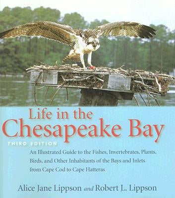 Life in the Chesapeake Bay by Lippson, Alice Jane