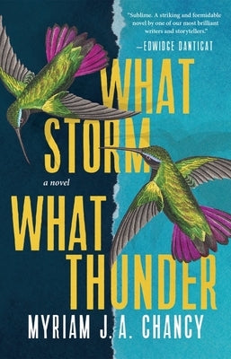 What Storm, What Thunder by Chancy, Myriam Ja