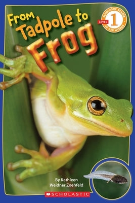 From Tadpole to Frog (Scholastic Reader, Level 1) by Zoehfeld, Kathleen Weidner