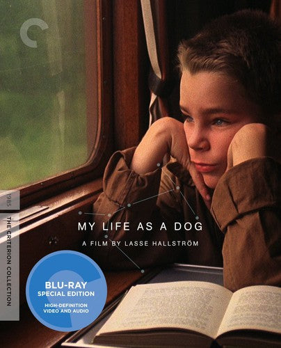 My Life as a Dog (Criterion Collection) (Blu-ray)