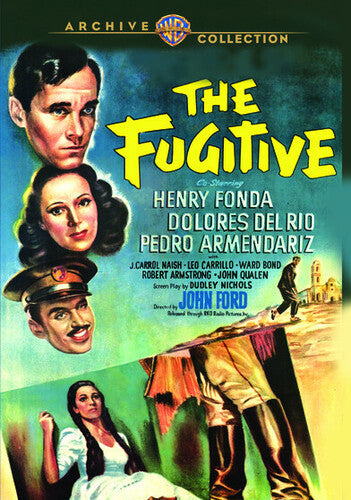 The Fugitive (DVD)