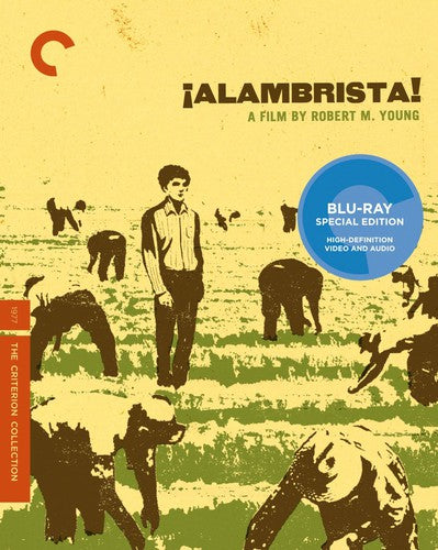 Alambrista! (Criterion Collection) (Blu-ray)