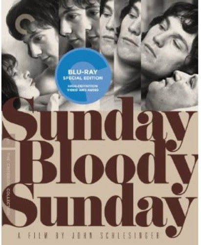 Sunday Bloody Sunday (Criterion Collection) (Blu-ray)