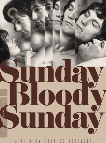 Sunday Bloody Sunday (Criterion Collection) (DVD)