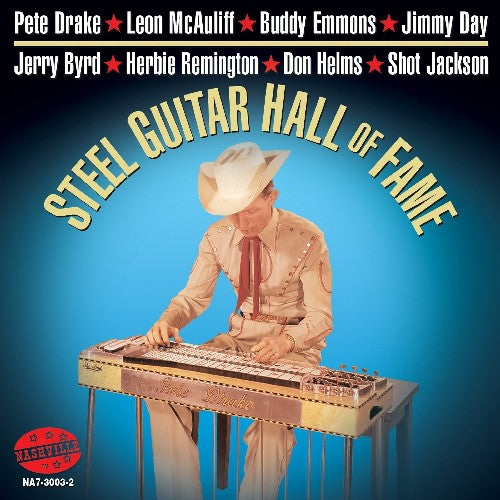 Various Artists - Steel Guitar Hall Of Fame (CD)