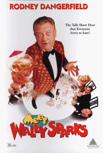 Meet Wally Sparks (DVD)