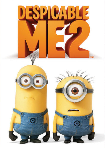 Despicable Me 2 (DVD)