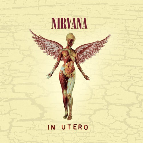 Nirvana - In Utero (20th Anniversary Edition) (CD)