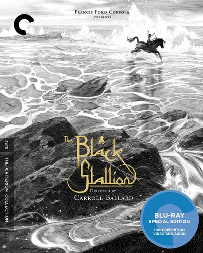 The Black Stallion (Criterion Collection) (Blu-ray)