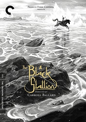 The Black Stallion (Criterion Collection) (DVD)