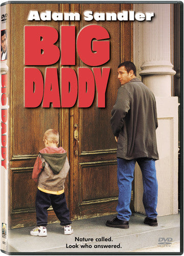 Big Daddy (DVD)