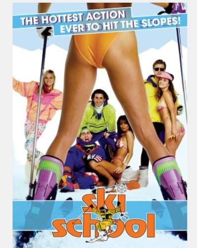 Ski School (DVD)