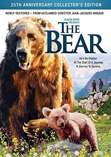 The Bear (DVD)