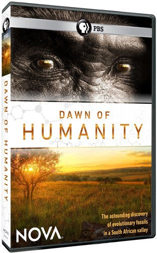 Nova: Dawn of Humanity (DVD)
