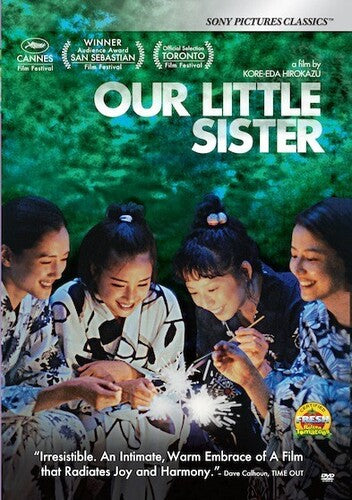 Our Little Sister (DVD)