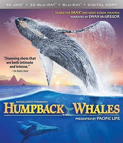 Imax: Humpback Whales (4K Ultra HD)