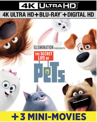 The Secret Life of Pets (4K Ultra HD)