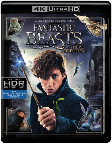 Fantastic Beasts and Where to Find Them (4K Ultra HD)