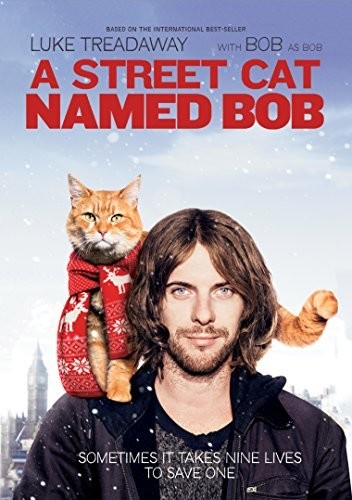 A Street Cat Named Bob (DVD)