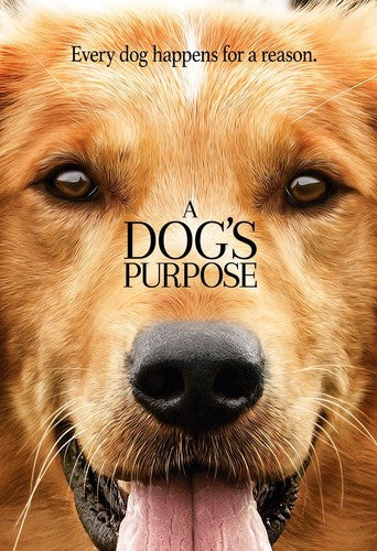 A Dog's Purpose (DVD)