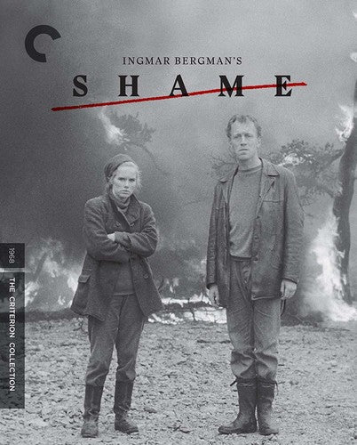 Shame (Criterion Collection) (Blu-ray)