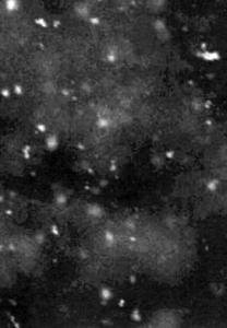 Paysage D'Hiver - Einsamkeit (CD)