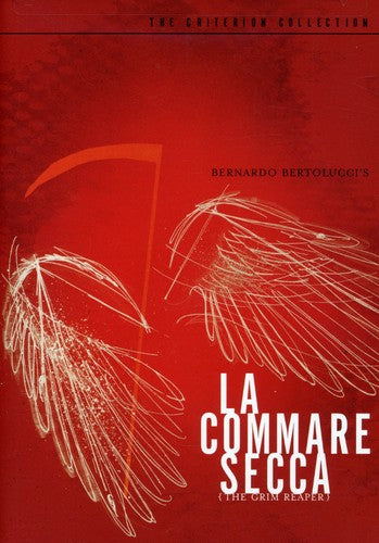 La Commare Secca (Criterion Collection) (DVD)