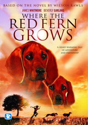 Where the Red Fern Grows (DVD)