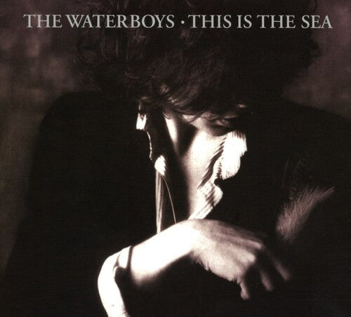 The Waterboys - This Is The Sea: Collectors Edition (CD)