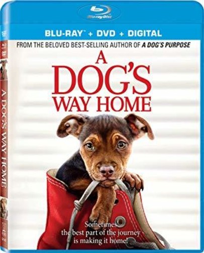 A Dog's Way Home (Blu-ray)