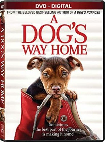 A Dog's Way Home (DVD)