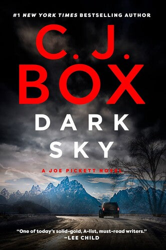 Dark Sky: A Joe Pickett Novel