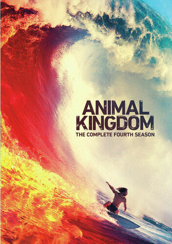 Animal Kingdom: The Complete Fourth Season (DVD)