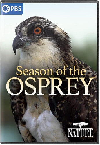 NATURE: Season Of The Osprey (DVD)