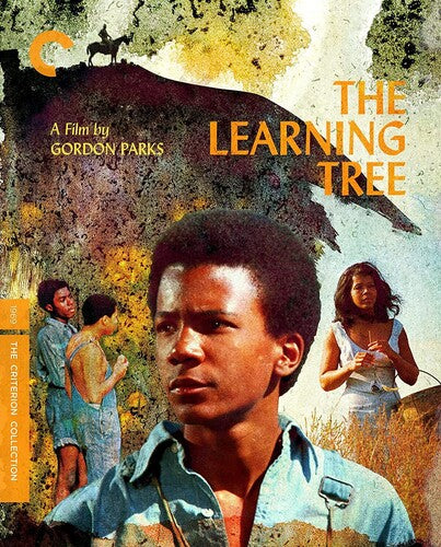 The Learning Tree (Criterion Collection) (Blu-ray)