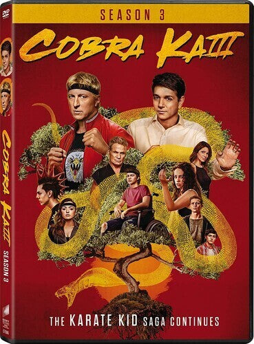 Cobra Kai: Season 3 (DVD)