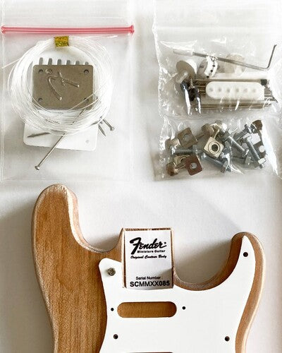 Fender Stratocaster Build Your Own Miniature Guitar Replica Collectible Model Kit