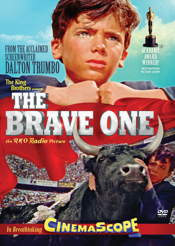 The Brave One (DVD)