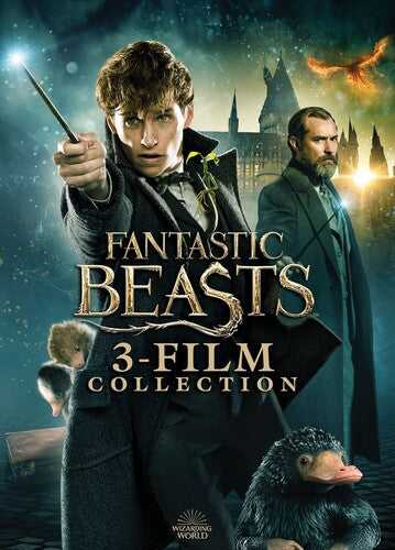 Fantastic Beasts 3-Film Collection (DVD)