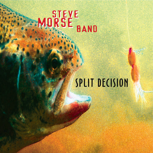 Steve Morse Band - Split Decision (CD)