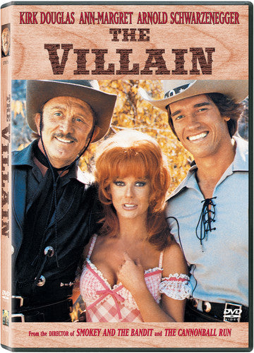 The Villain (DVD)